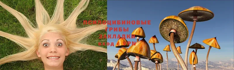 omg зеркало  Белокуриха  Галлюциногенные грибы MAGIC MUSHROOMS 